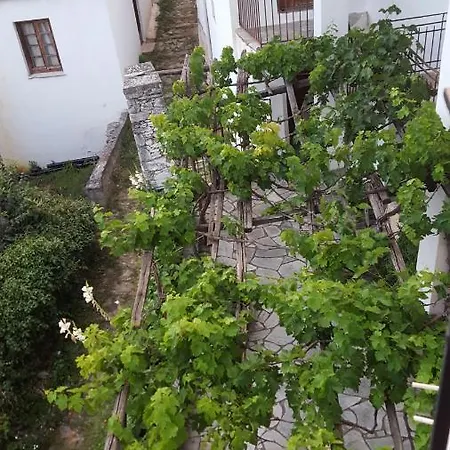 بيت ضيافة The Tree Of Life At Majestic Makrinitsa Stagiates